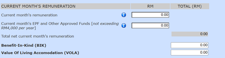 step 3 input month remuneration